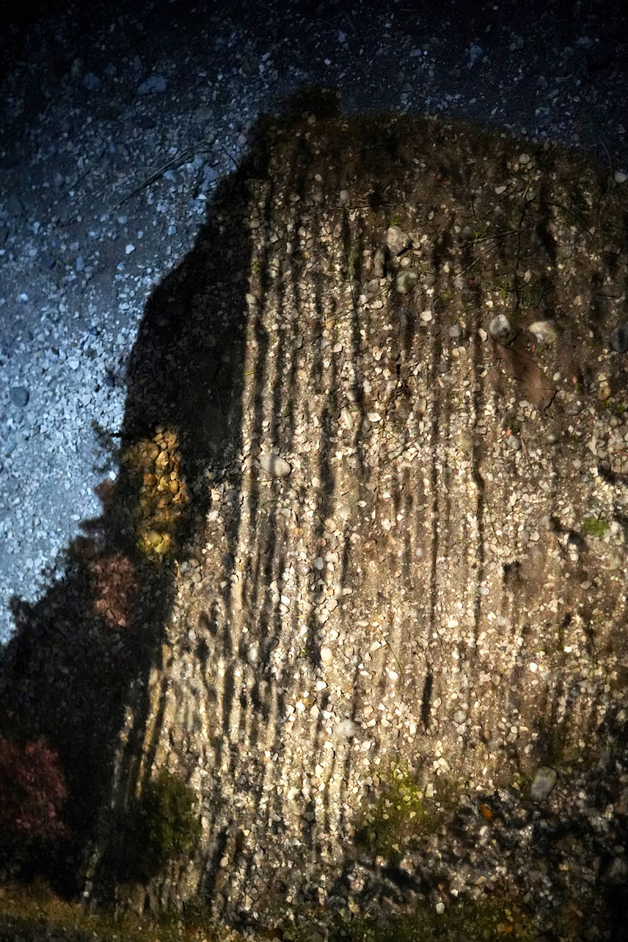 gabor fekete (ch/hu) und manfred wigger (d)